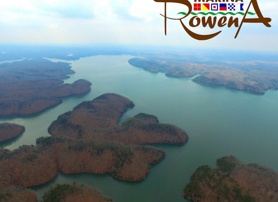 aerial view of marina